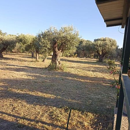 הוילה Monasterace Relax E Tranquillita מראה חיצוני תמונה