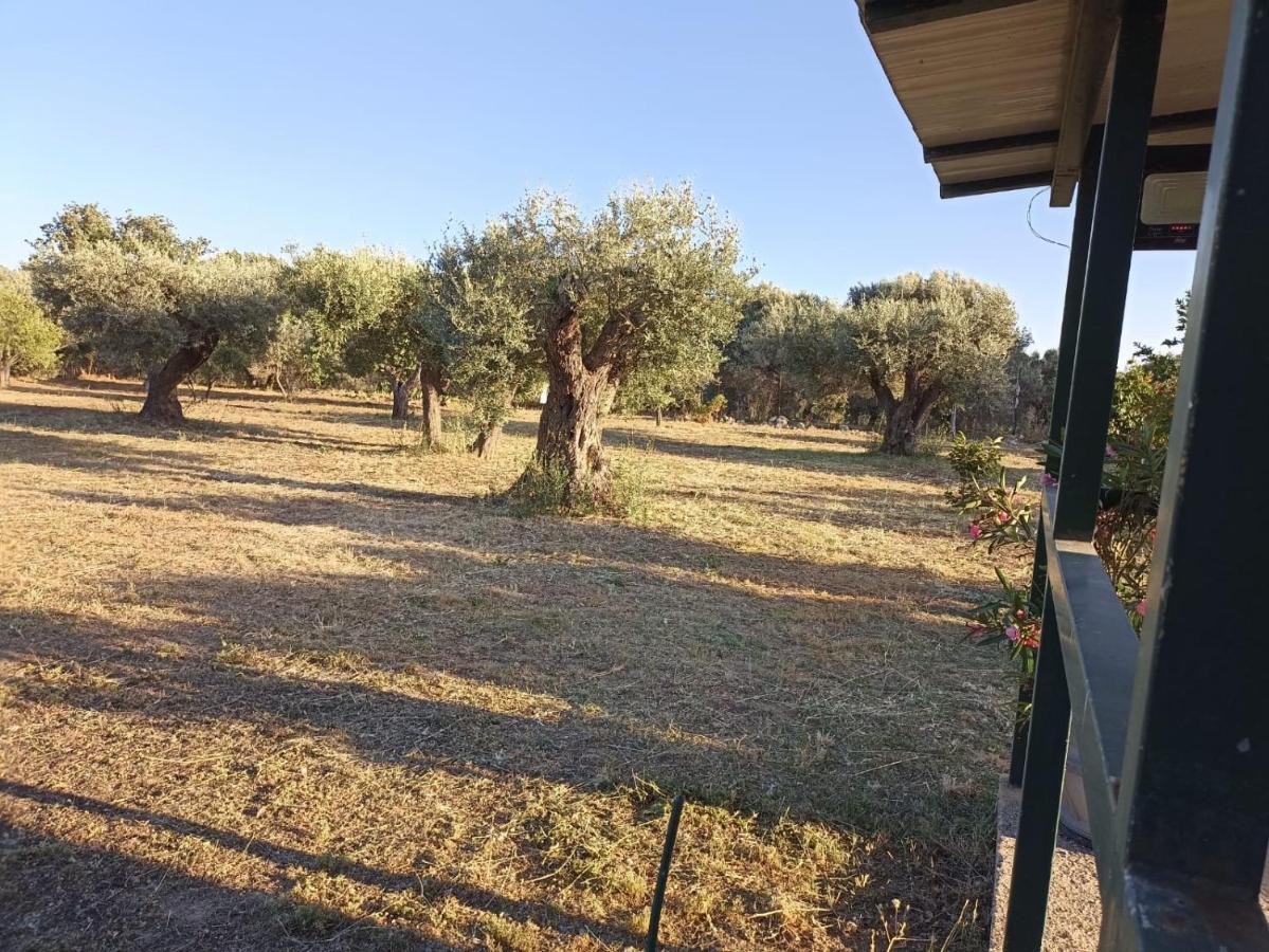 הוילה Monasterace Relax E Tranquillita מראה חיצוני תמונה